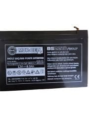 AKÜLÜ İLAÇLAMA POMPASI YEDEK 12V /8AH AKÜ desa