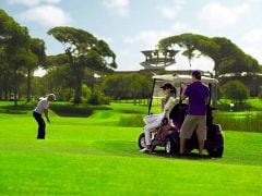 Meadow 7 lı Karışım İthal Çim Tohumu 10 Kg