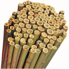Gardener BAMBU BİTKİ DESTEK ÇUBUĞU 120 CM (10 ADET)