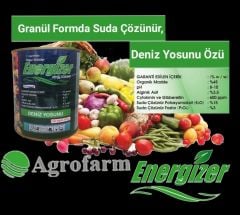 ENERGİZER DENİZ YOSUNU 400 gram