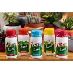 ZANA BİTKİ BESİNİ