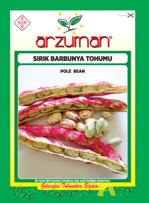 ARZUMAN BARBUNYA SIRIK