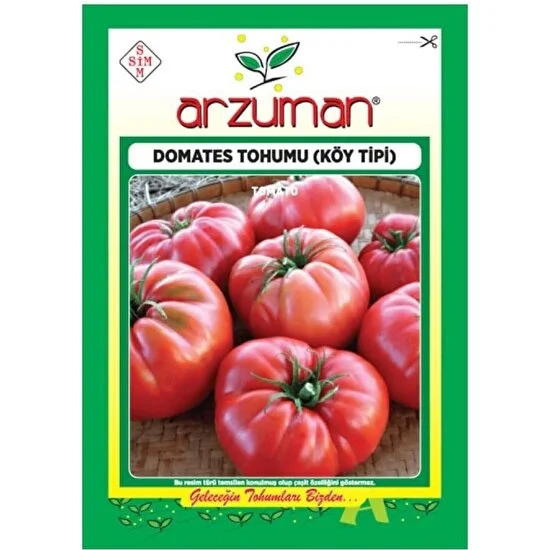 DOMATES TOHUMU - KÖY TİPİ