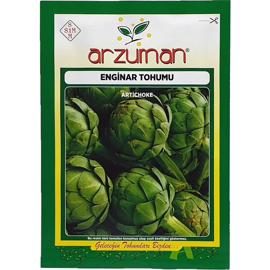 ENGİNAR TOHUMU 20 ADET