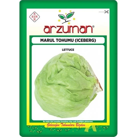 MARUL (ICEBERG )TOHUMU