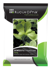SEMİZOTU TOHUMU
