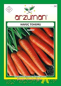ARZUMAN HAVUÇ TOHUMU 10 GR