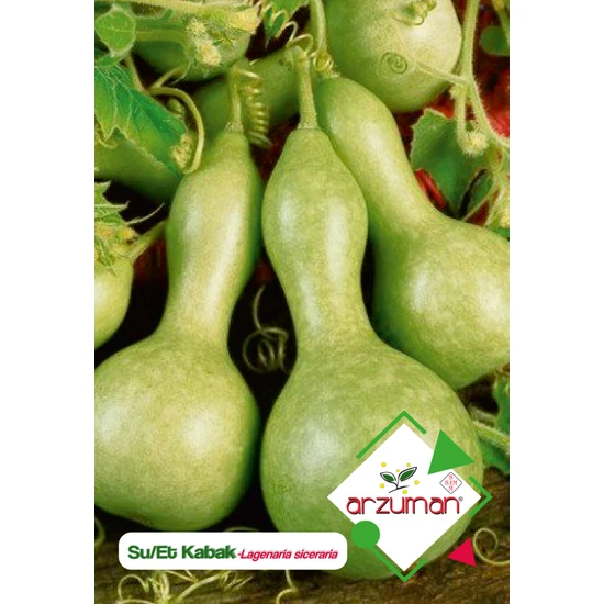 ARZUMAN SU/ ET KABAK TOHUMU