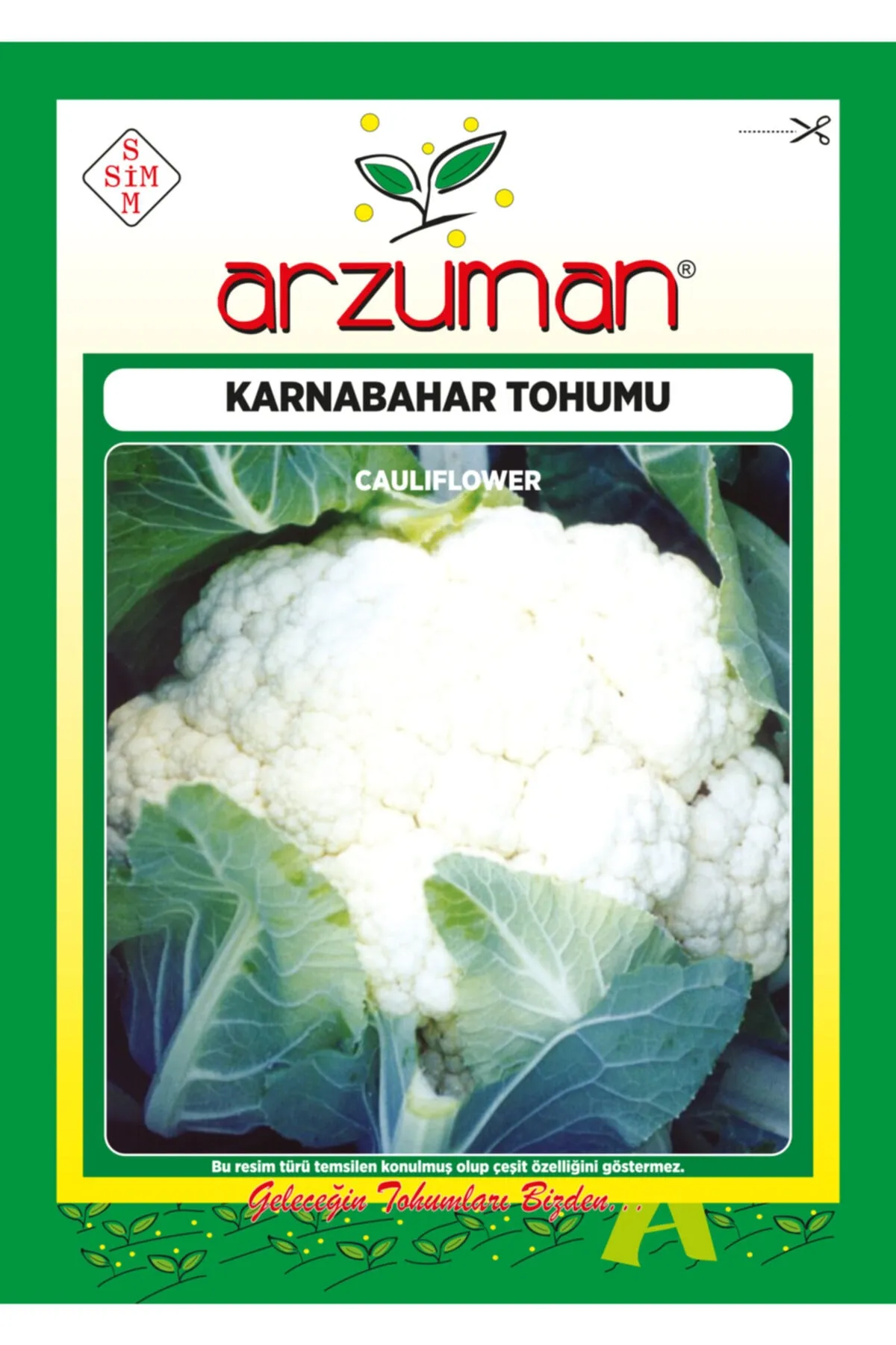 ARZUMAN KARNABAHAR TOHUMU 500 ADET