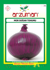 ARZUMAN MOR SOĞAN TOHUMU