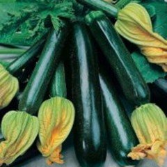 NESİL SİYAH KABAK TOHUMU