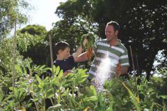 Hozelock 2684H Yuvarlak Başlıklı 6 Ayarlı Hortum Tabancası