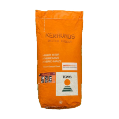 Keravnos Si̇lajlık Mısır (50 Bin Adet) İlaçlı (Kws Premix+gaucho Fs600)