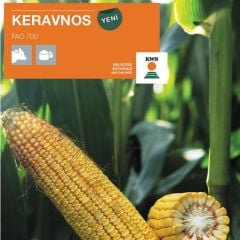 Keravnos Si̇lajlık Mısır (50 Bin Adet) İlaçlı (Kws Premix+gaucho Fs600)