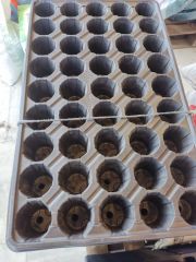 VİYOL 45 GÖZ/ TOHUM - FİDE EKMEk İÇİN