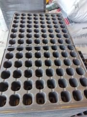 VİYOL 104 GÖZ/ TOHUM - FİDE Viyolu