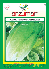 YEDİ KULE MARUL TOHUMU