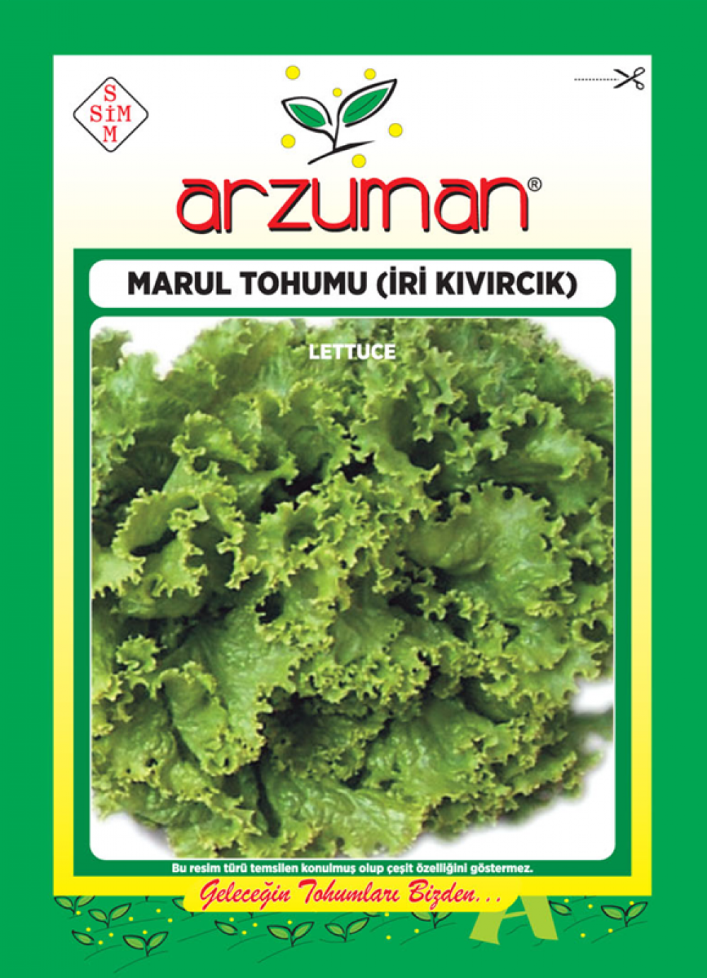 KIVIRCIK MARUL TOHUMU