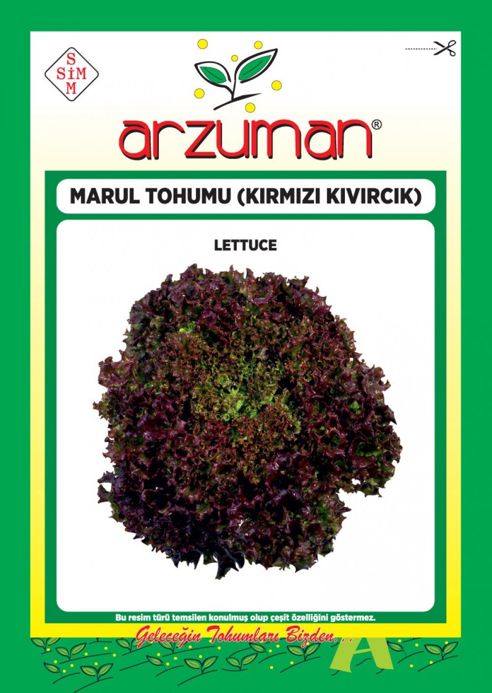 KIRMIZI KIVIRCIK MARUL TOHUMU