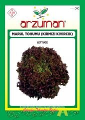 KIRMIZI KIVIRCIK MARUL TOHUMU