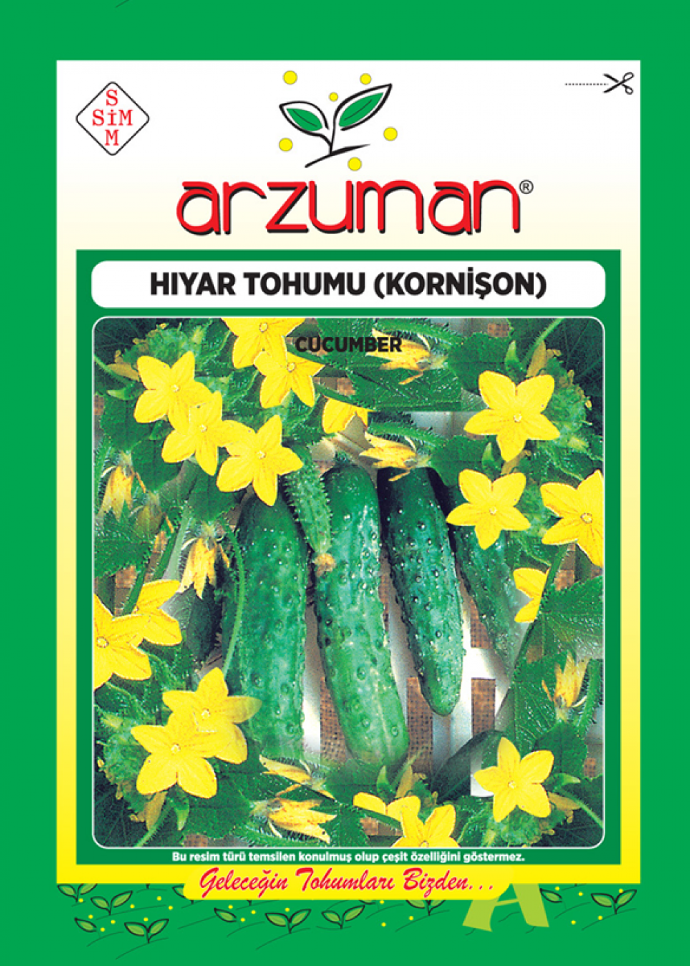 HIYAR KORNİŞON TOHUMU