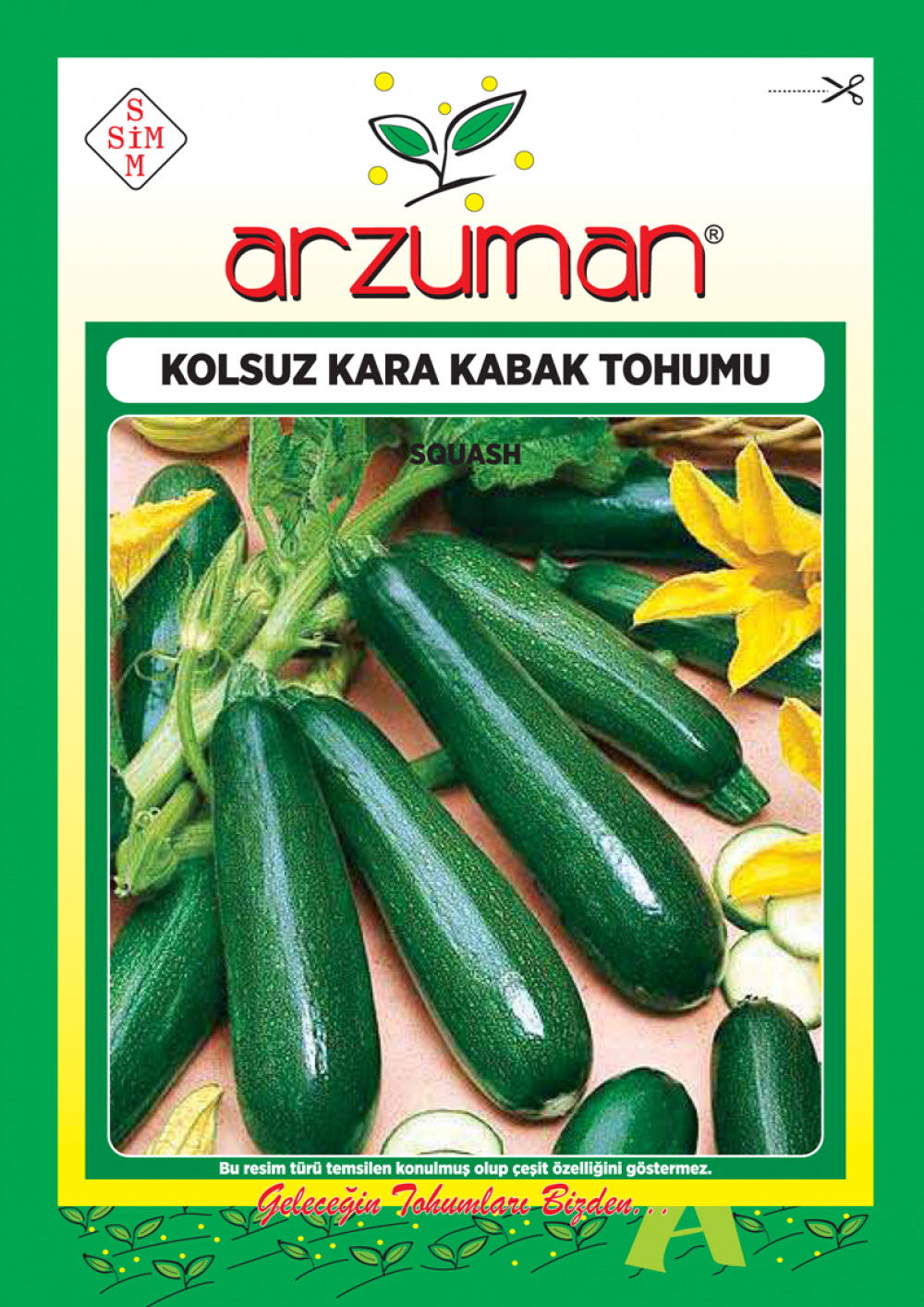 KOLSUZ KARA KABAK TOHUMU