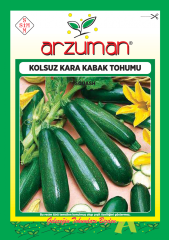 KOLSUZ KARA KABAK TOHUMU