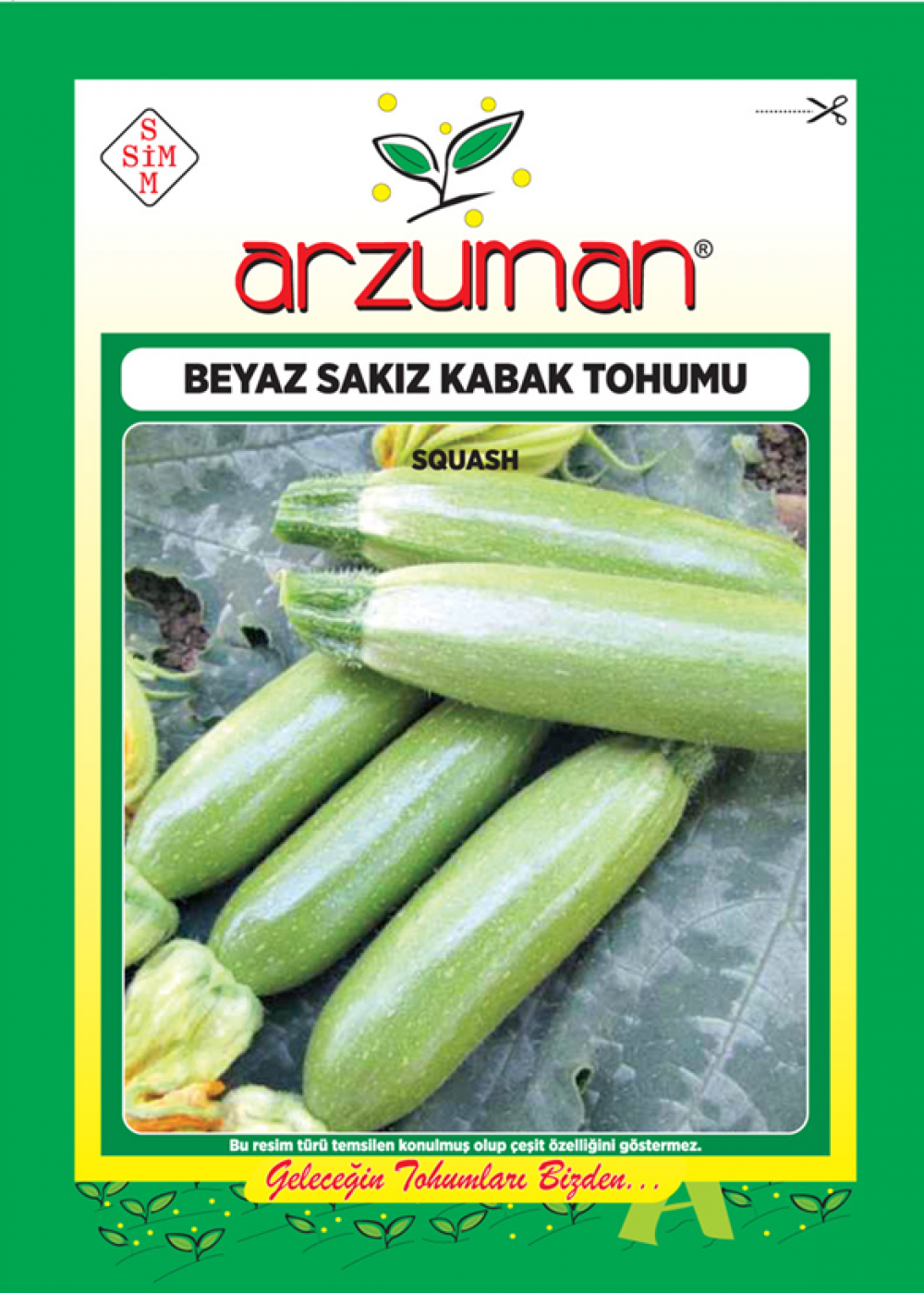 BEYAZ SAKIZ KABAK TOHUMU