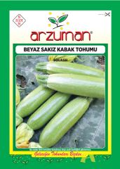 BEYAZ SAKIZ KABAK TOHUMU