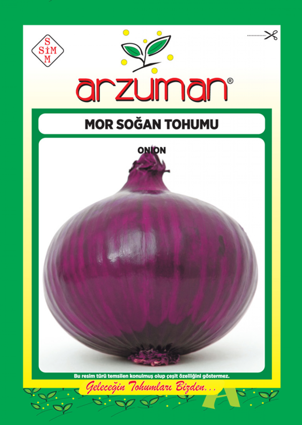 MOR SOĞAN TOHUMU