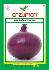 MOR SOĞAN TOHUMU