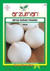 BEYAZ SOĞAN TOHUMU