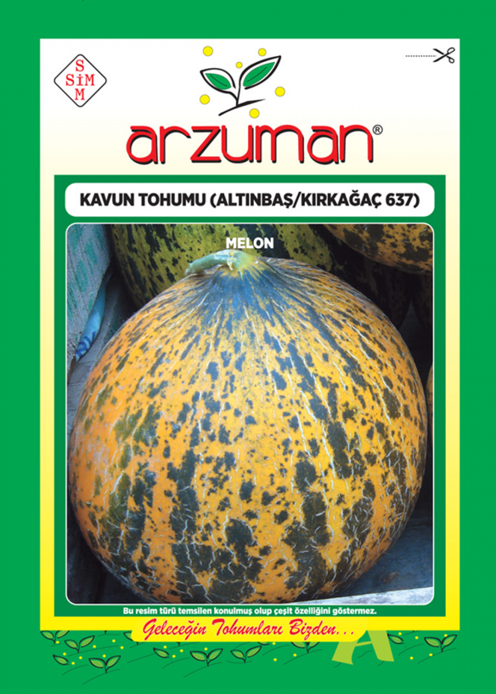 KAVUN KIRKAĞAÇ  637 / ALTINBAŞ TOHUMU