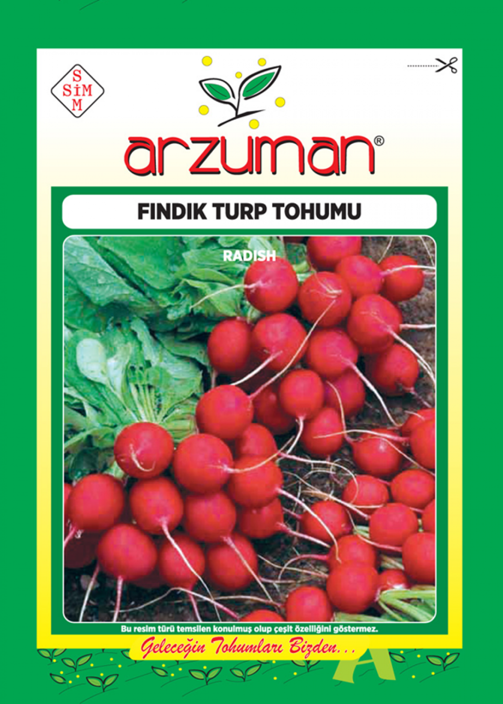 FINDIK TURP TOHUMU