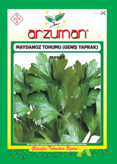 ARZUMAN MAYDANOZ TOHUMU / GENİŞ YAPRAK
