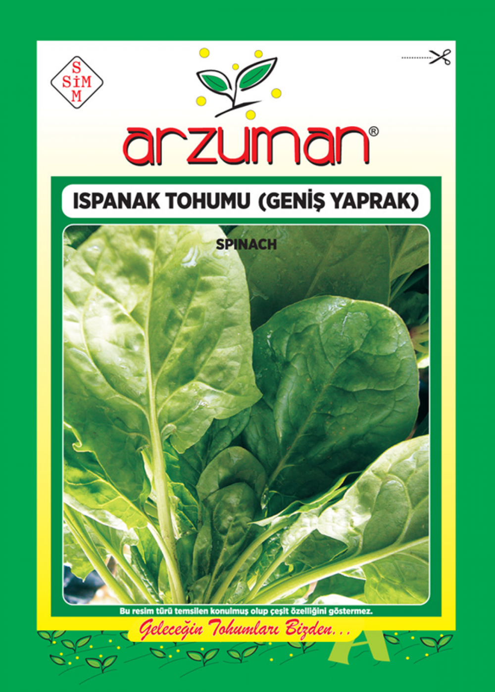 ARZUMAN ISPANAK TOHUMU GENİŞ YAPRAK