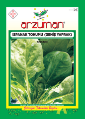 ARZUMAN ISPANAK TOHUMU GENİŞ YAPRAK