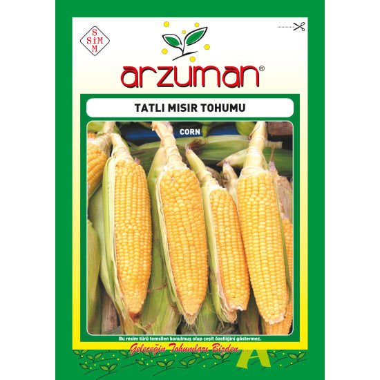 ARZUMAN TATLI MISIR (25 GR) TOHUMU