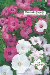 ARZUMAN PAMUK ÇİÇEĞİ TOHUMU ( 25 ADET TOHUM)