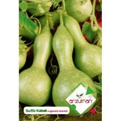 ARZUMAN SU-ET KABAĞI TOHUMU ( 5 ADET TOHUM)