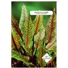 ARZUMAN KIRMIZI KUZUKULAĞI (Rumex acetosella) ( 50 ADET TOHUM)