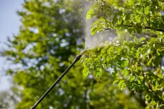 Gardena 11140 12 lt Basınçlı Püskürtücü İlaçlama Pompası