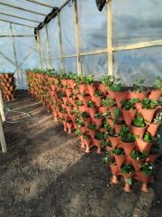 Yediveren® Tekerlekli Bahçe Kulesi