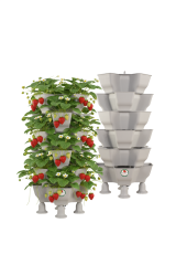 Yonca® Sabit (6 Kat) Bahçe Kulesi